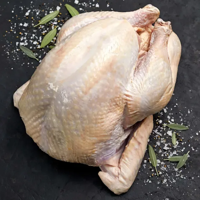 Turkey — product photograph