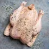 Chicken catalogue photograph